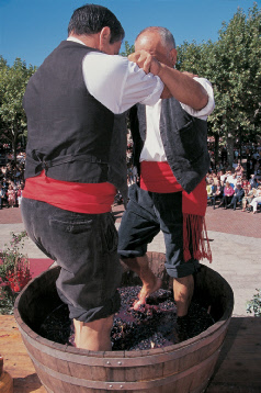 Pisar uvas para conseguir vino es una de las costumbres tradicionales más repetidas en las fiestas de la vendimia españolas.